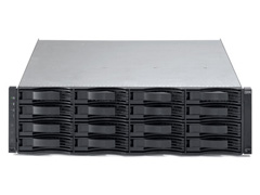 IBM DS6800 (1750-522)